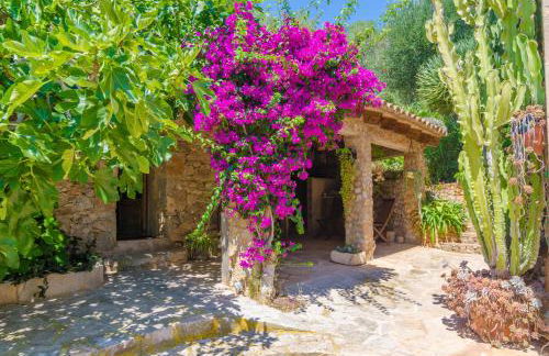 Cas Conco in S Horta - Foto 13