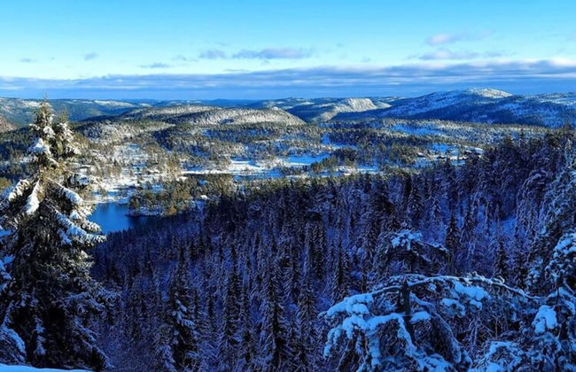 Holiday Home Lykkehjem in Amli - Foto 41