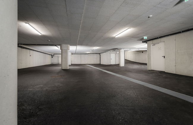 Platzhirsch Apart & Mayrhofen - Foto 58