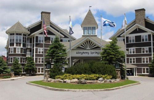 Allegheny Spg - Cozy Condo Ski from our patio - Foto 13