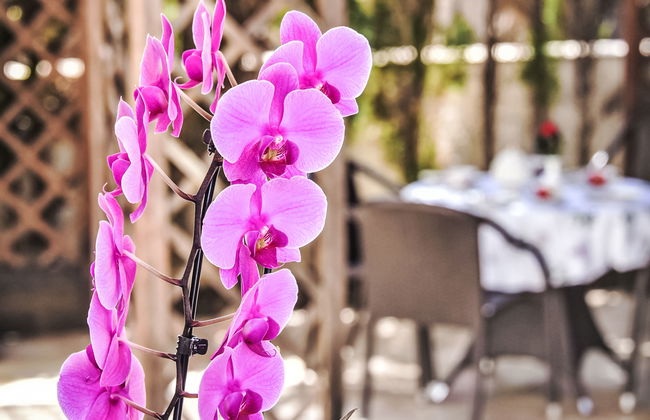 Villa Buena Vida - Foto 32