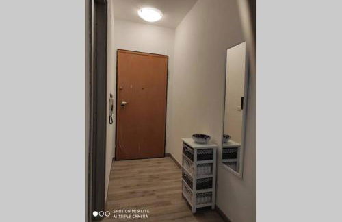 Is Launeddas da Isi - Foto 19