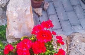 Apartment Li - Foto 67