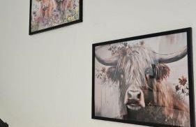 Ferienwohnung Mönchshof - Foto 11