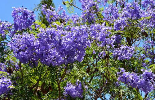 Villa with panoramic sea views - Foto 26