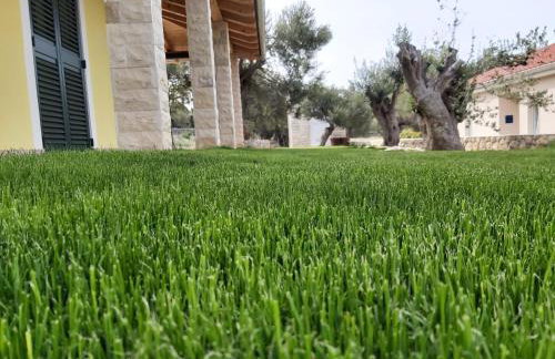 Villa Paula - Foto 29