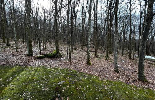 Cozy Cabin - Foto 31