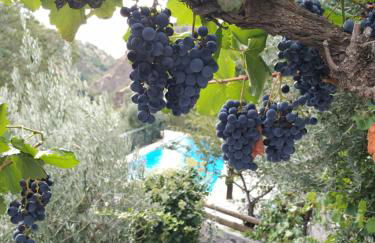 Cortijo La Solana - Foto 31