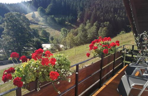 Ferienhaus Enzquelle - Foto 38