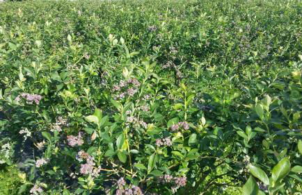 Casa Valxisto Country House - Foto 108