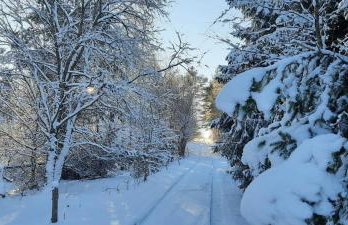 Pod Żurawiem Urokliwy domek na Kaszubach - Foto 75