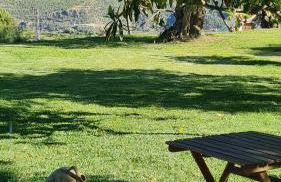 Tropical Studio - Foto 1