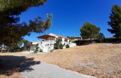 Nature Villa - Foto 23