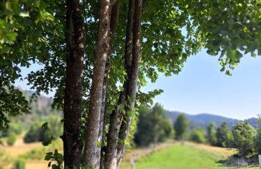 Apartman Barbara - Foto 24