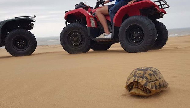 Essaouira Quad Tour - Foto 2