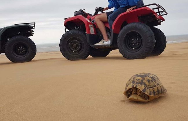 Essaouira Quad Tour - Photo 5