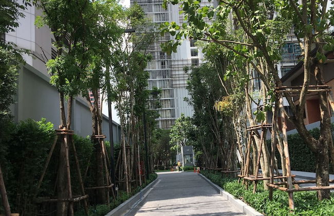 Park 24 Luxury Condo by ML - Photo 23