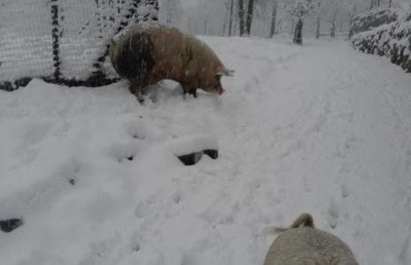 Agriturismo Villa Brugolta - Foto 17