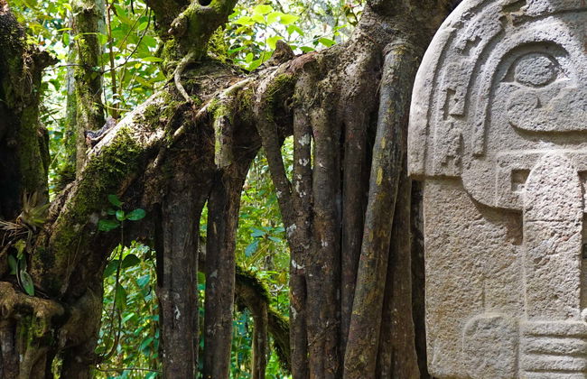Tour privado por el Parque Arqueológico de San Agustín - Foto 1