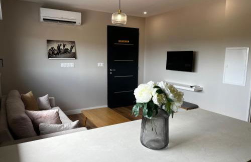 Appartement 2 pièces wifi climatisation - Foto 23