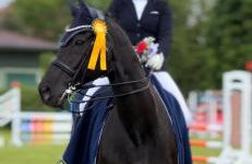 Hof Eichendiek Time Out Village - Foto 17