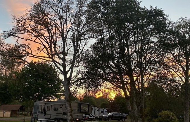 Wallicut River RV Resort & Cabins - Foto 12