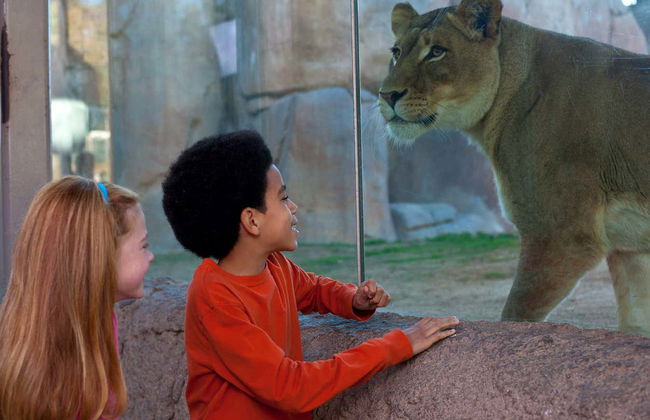 Billet pour le San Diego Zoo Safari Park - Photo 8