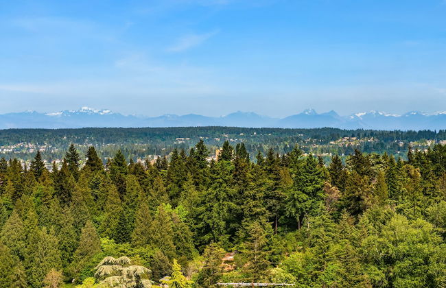 Seattle Vacation Home: The Tuscan Villa - Foto 44