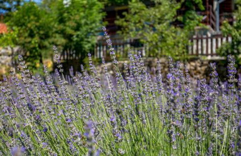 2 Bedroom Awesome Home In Opatija - Foto 18