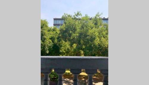 2 BEDROOM APARTMENT SANTS - Foto 5