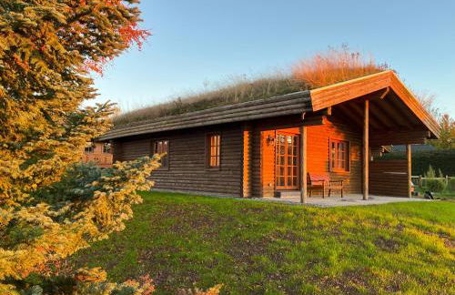 FERIENHAUS FERIENWOHNUNG EIFEL-ARDENNEN BLOCKHAUS Viebighaus - Foto 3