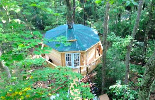 Stunning Tree House Rental in the Forest near Beckley, West Virginia - Foto 17