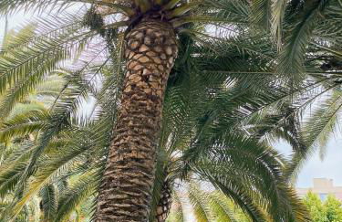 Home2Sea - Piscine, Jardin, studio cabine, 1 canapé lit convertible 2 ADULTES, 1 lit superposé triple 3 ENFANTS ou ADOS - Foto 59