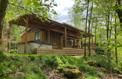 Vosges Hygge - Chalets Lodges & Spa - Foto 21