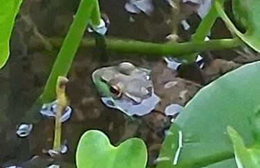 Black Top Retreat - Photo 18