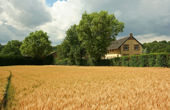 Lovely Farmhouse in Wijlre With Forest Nearby - Photo 50