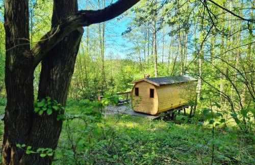 Dom Piekarza Siedlisko Rogówko - Foto 12