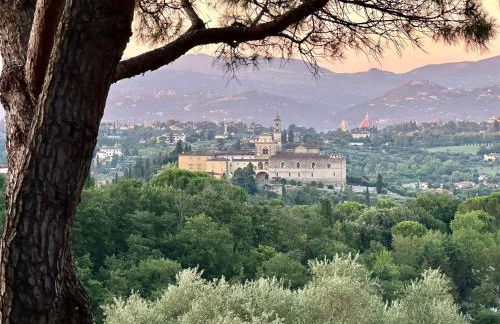 Podere di Montecchio - Le Andane - Foto 27