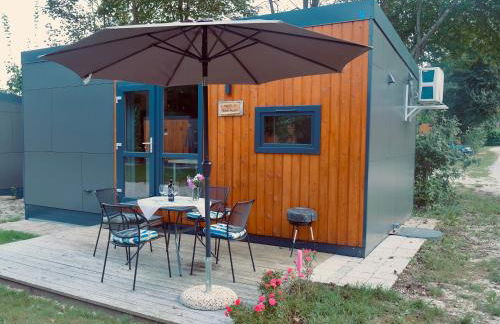 Tinyhaus Sankt Rupert Nummer 11 - Foto 27