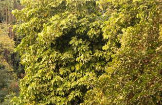 Charmoso Apartamento Leme/copacabana - Foto 58