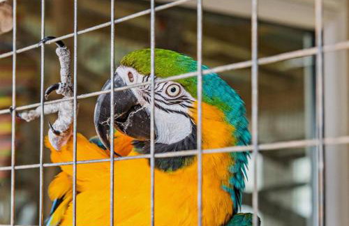 5 Bed in Ilfracombe oc-barlc - Photo 23