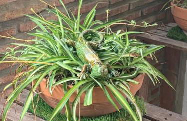 La Quinta - La Barrosa - Foto 22