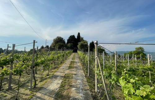 THE MONTEVECCHIA HOME - FRIDA APARTMENT - Foto 4