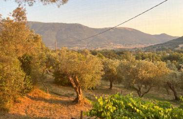 Casa Vacanza Capozzoli - Foto 33