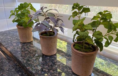 Allt Lwyd - Peaceful & Tranquil Setting - Photo 11