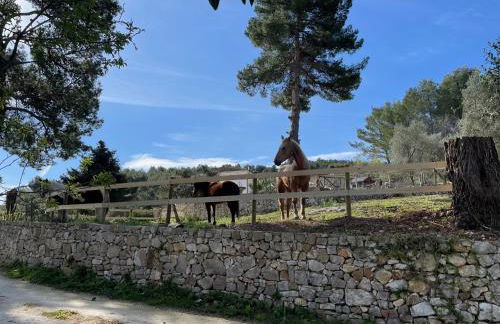 Novecento Country House - Foto 66