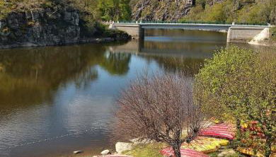 Gite de la foret - Foto 2