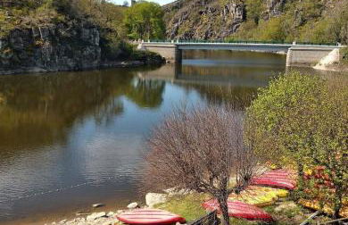 Gite de la foret - Foto 2