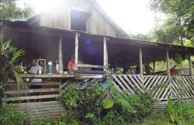 Trilha de 4 dias pelo Parque Nacional Los Quetzales - Foto 8