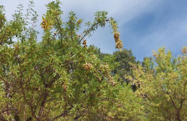 Cortijos Rey Fini - Foto 42